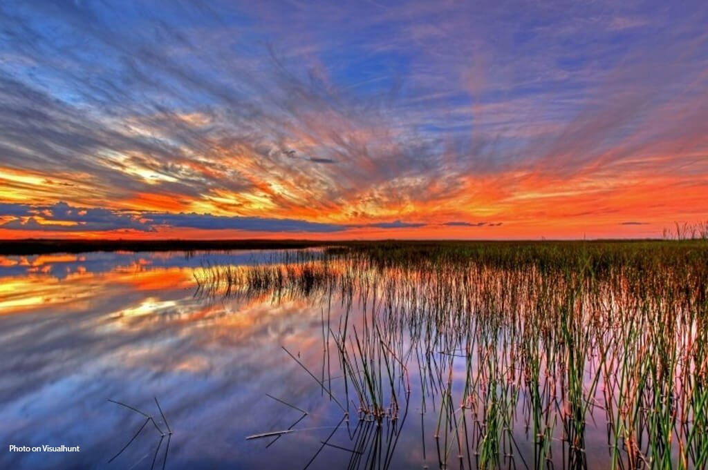 rehab centres in Mumbai